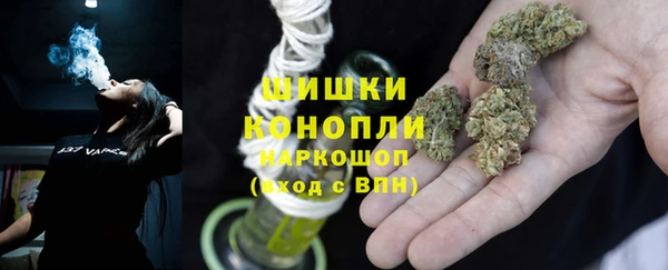 винт Аркадак