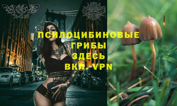 mix Армянск