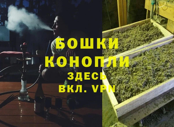 винт Аркадак