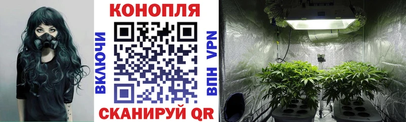 Конопля Ganja  наркотики  кракен рабочий сайт  Салехард 